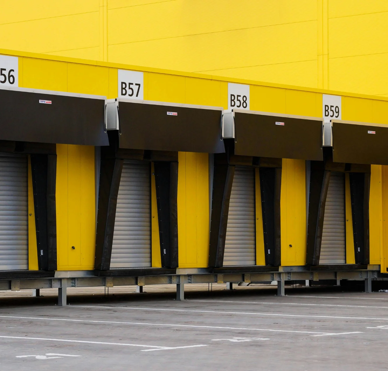 Soluciones Especializadas para Carga de Proyectos